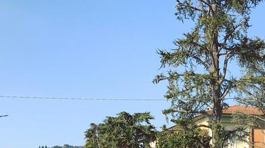 Al via nuovi cantieri a Palaia e Montefoscoli