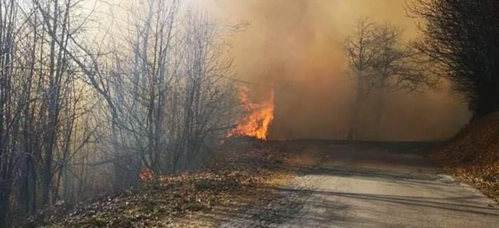 Ancora fiamme nei boschi Strada chiusa e case a rischio