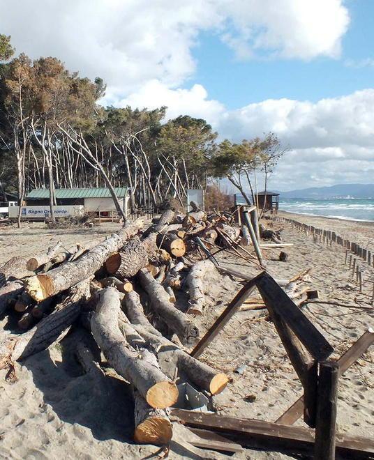 Sbloccati i soldi, ora il progetto per i ripascimenti in Costa Est 