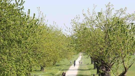Il parco