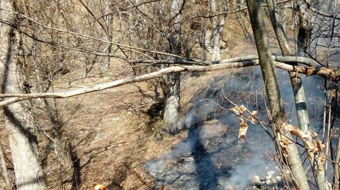 Ettari ed ettari di bosco cancellati dalla furia del fuoco