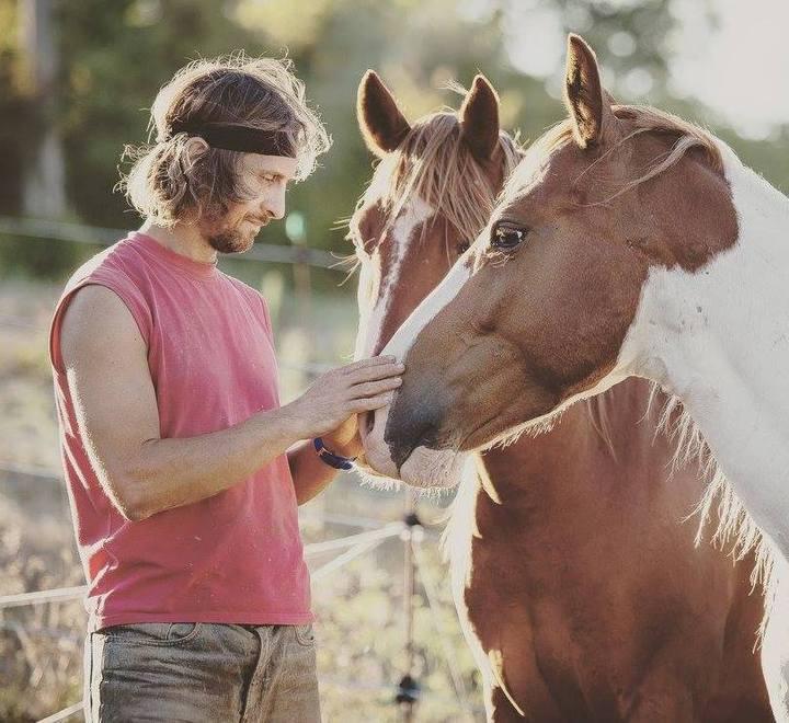 Nono cavallo morto: analisi su animali e vegetazione 