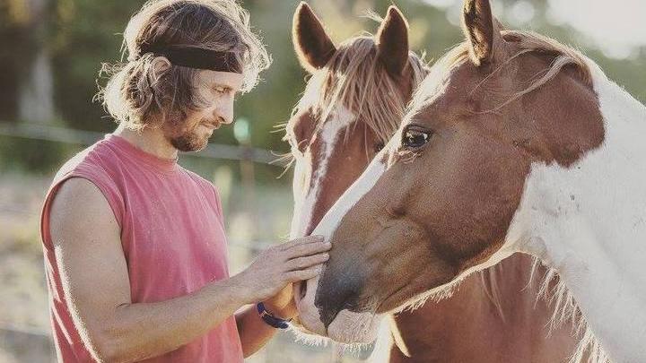 Nono cavallo morto: analisi su animali e vegetazione