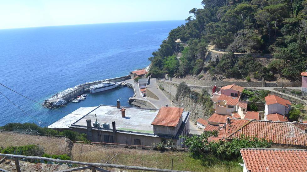Torna il collegamento diretto tra Livorno e l’isola di Gorgona