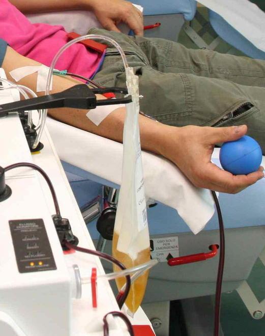 Più giorni a disposizione per donare il sangue La richiesta dell’Avis
