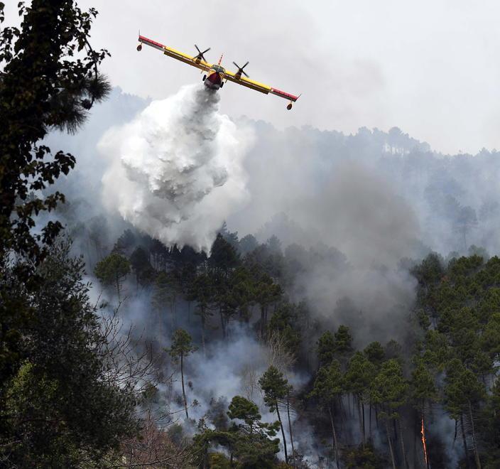 Pronta la denuncia in Procura per incendio boschivo colposo 