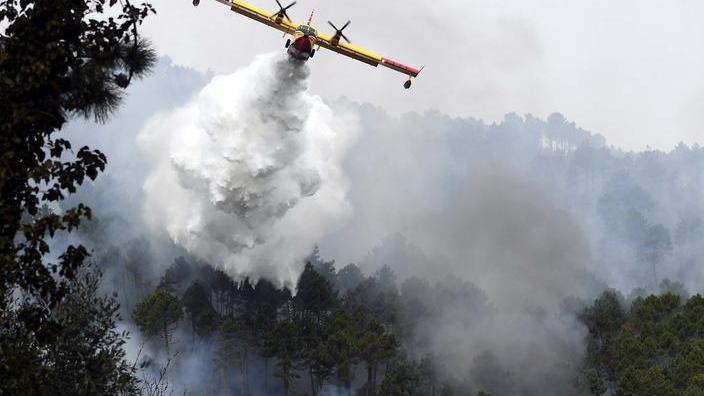 Pronta la denuncia in Procura per incendio boschivo colposo