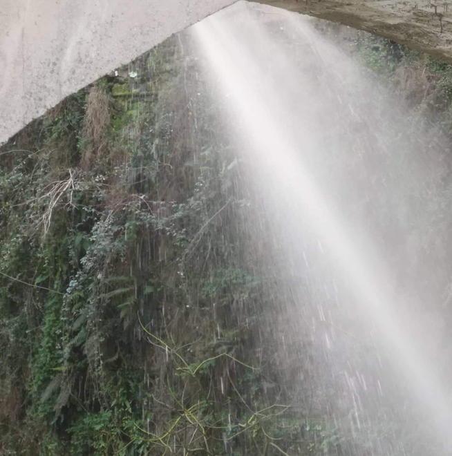Continua a Canevara il maxi spreco di acqua «Intervenga la procura»