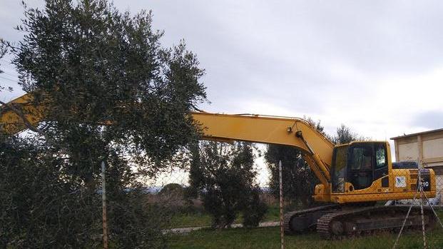 Escavatori pronti, si puliscono i canali della laguna