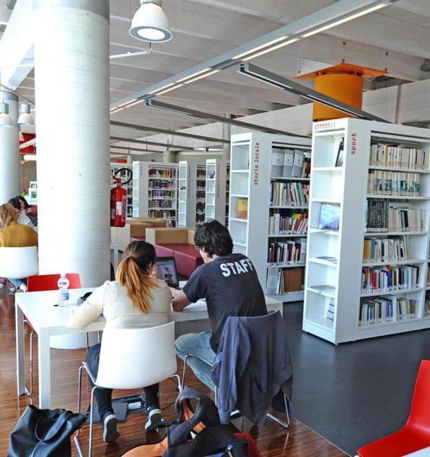 Biblioteca da record 329 accessi al giorno e ricambio dei volumi 
