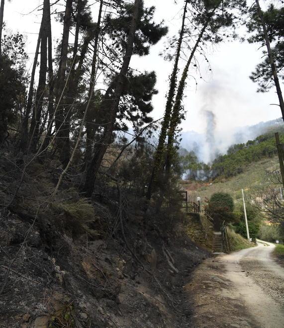 Dopo il fuoco si temono pioggia e vento Vicopisano chiede aiuto alla Regione 