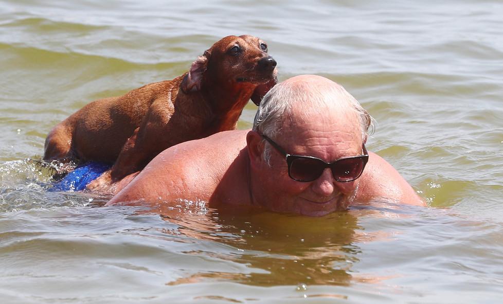 Cani in spiaggia: nuove accuse «Sbagliati i modi, non il tema» 