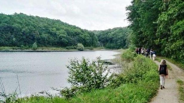 Passeggiata tra i boschi i laghi e gli uccelli dell’Oasi della Contessa