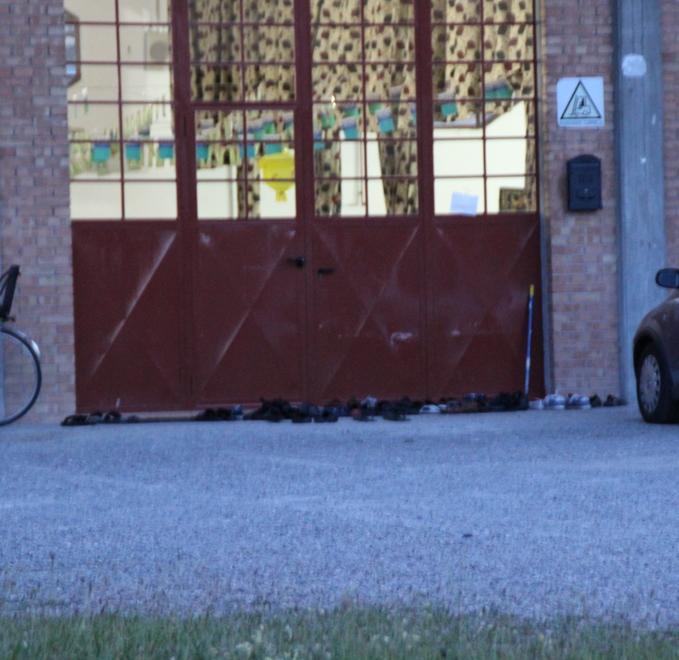Prima pregano, poi giù botte: 12 denunce 
