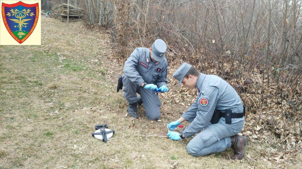 I carabinieri forestali mentre trovano e repertano le esche avvelenate