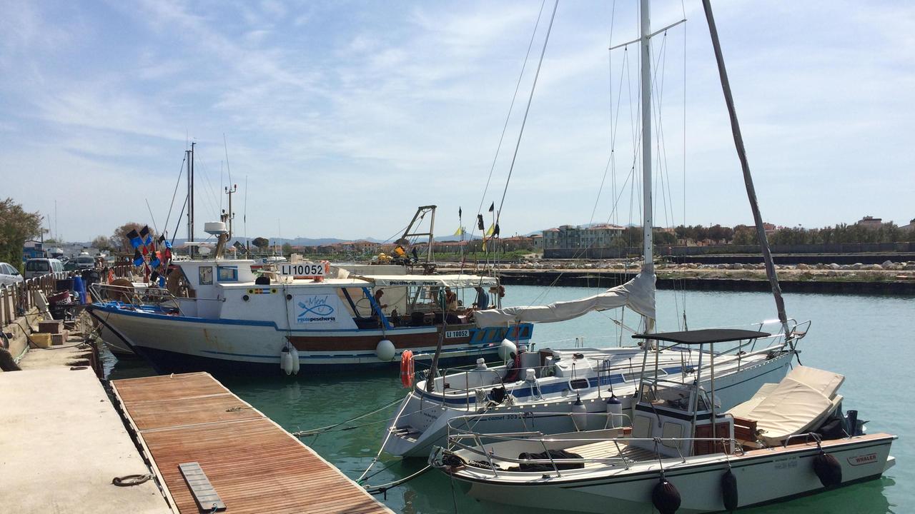 Il porto di Cecina oggi