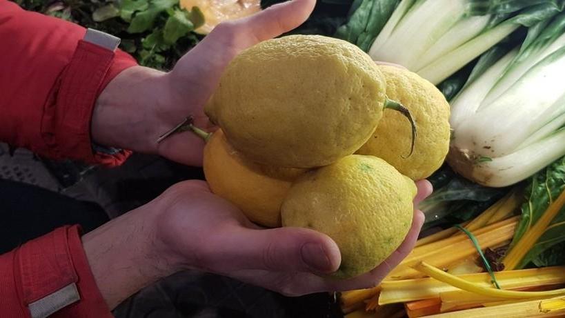 La borsa della spesa/ Impareggiabile profumo di limone