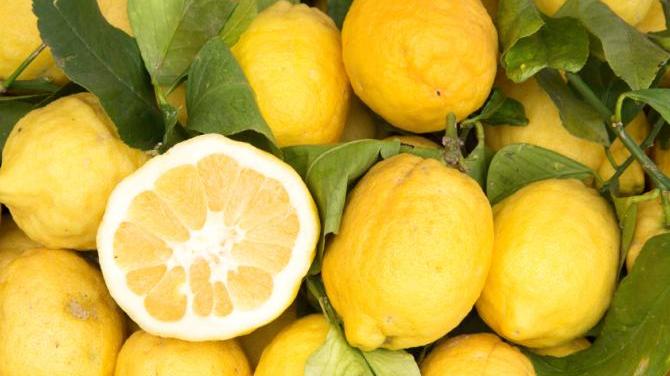 La nutrizionista/ Tutte le proprietà del limone