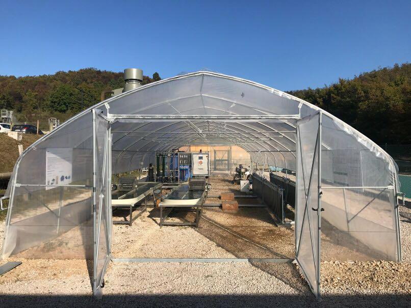 Nasce a Canneto la fabbrica a vapore di alga spirulina 