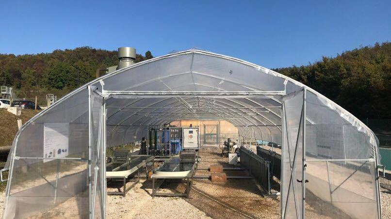 Nasce a Canneto la fabbrica a vapore di alga spirulina