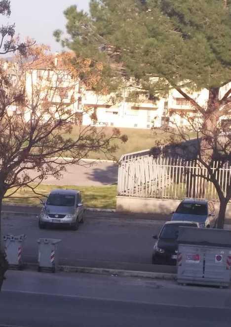 Cittadella Via la caterva di scatoloni «Grazie»
