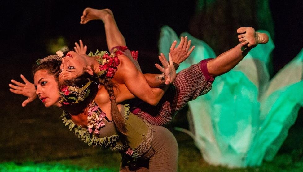Classici del teatro e magia del circo Ecco il cartellone al teatro Rossini 