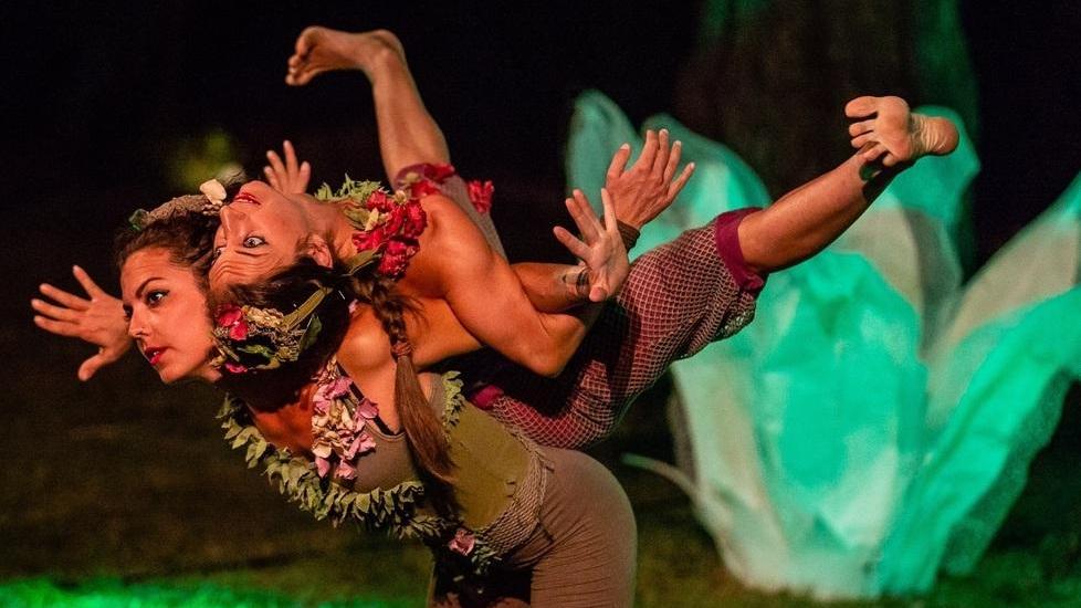 Classici del teatro e magia del circo Ecco il cartellone al teatro Rossini