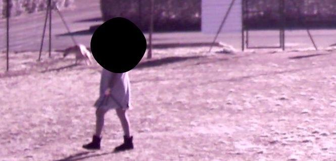 Non raccolgono le cacche dei cani Multa di 100 euro 