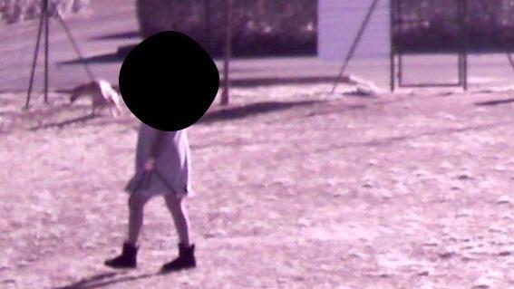 Non raccolgono le cacche dei cani Multa di 100 euro