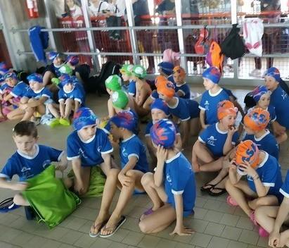 A Reggio “Nuoto in festa” oltre 300 bimbi in vasca alla Comunale di via Melato