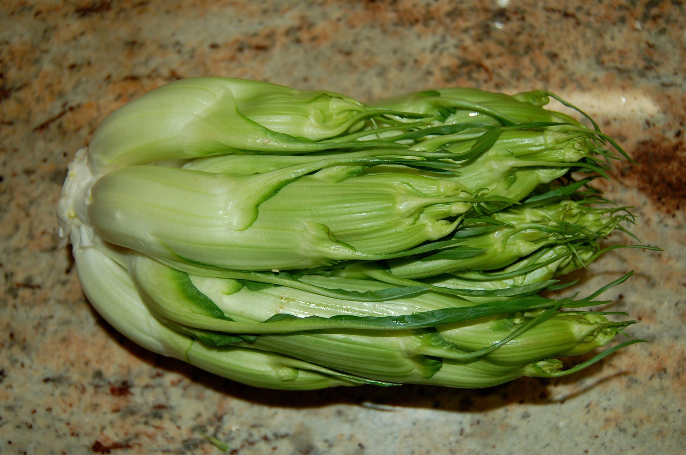 I germogli di cicoria catalogna amici del fegato: ecco le "puntarelle"