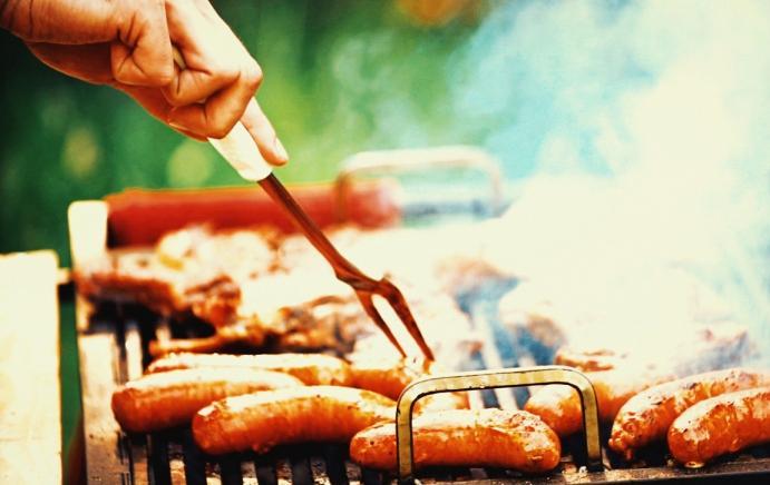 Multata per il barbecue nel parco, "mia nuora incinta aveva voglia di carne alla griglia"
