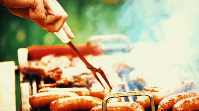 Multata per il barbecue nel parco, "mia nuora incinta aveva voglia di carne alla griglia"