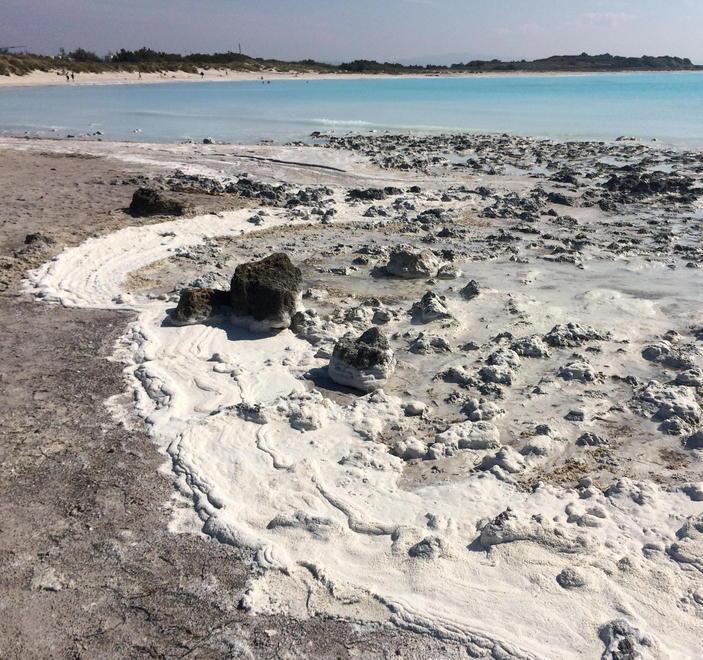Asl sulle schiume al Lillatro «Compatibili con materiali presenti al Fosso Bianco» 