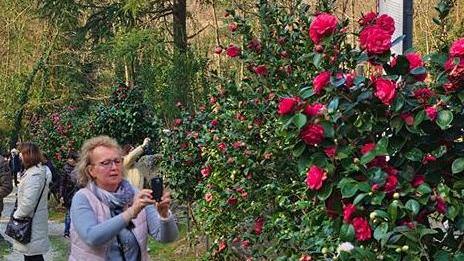Scrivi con i fiori il nome della tua persona amata