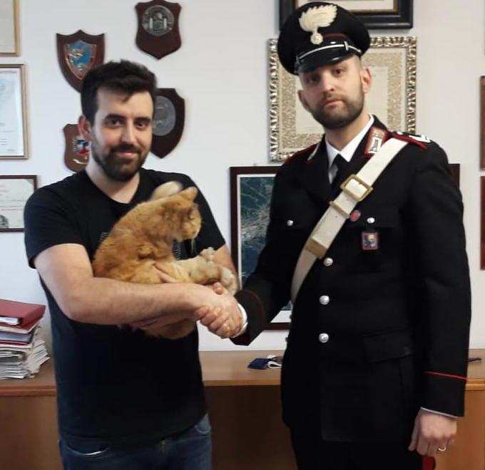 Coppia di coniugi denunciata per il rapimento di un gatto