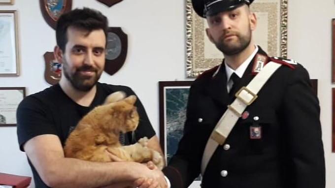 Coppia di coniugi denunciata per il rapimento di un gatto