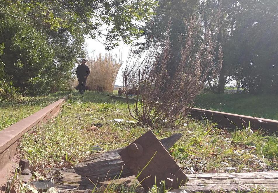 A Collesalvetti la linea ferroviaria che dorme da 55 anni, con stazione e binari lasciati nel degrado 