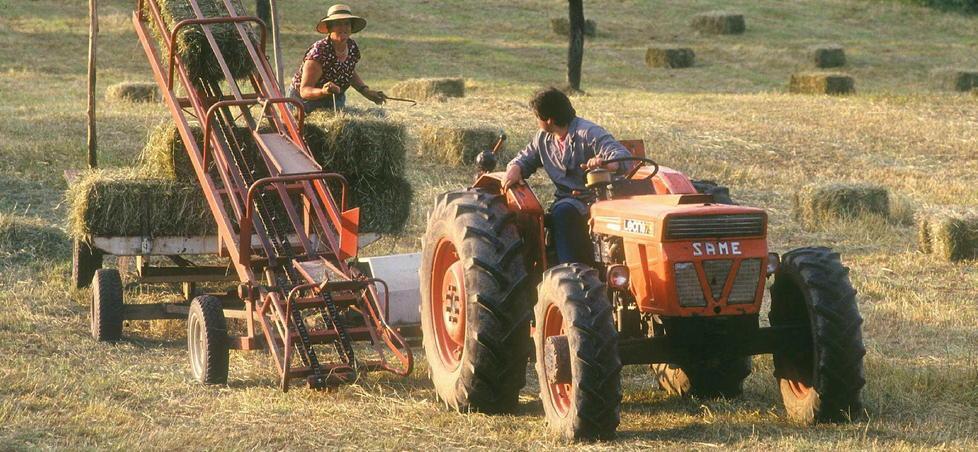 Dieci milioni per il Distretto Rurale. Finanziano i progetti rimasti in standby 