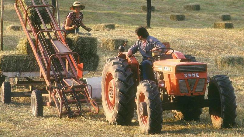 Dieci milioni per il Distretto Rurale. Finanziano i progetti rimasti in standby