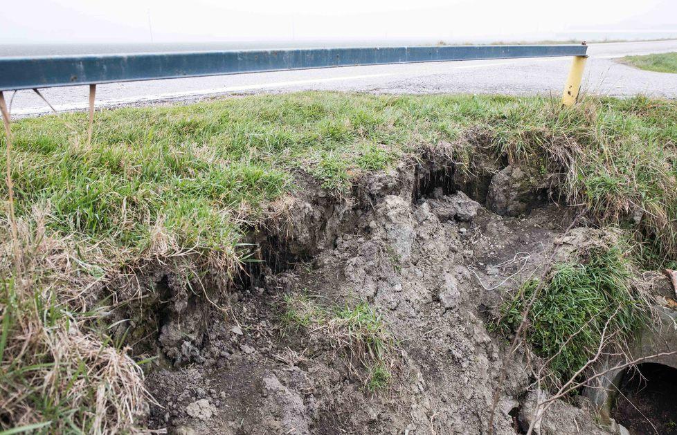 Nutrie, vera emergenza Serve uno sforzo comune 