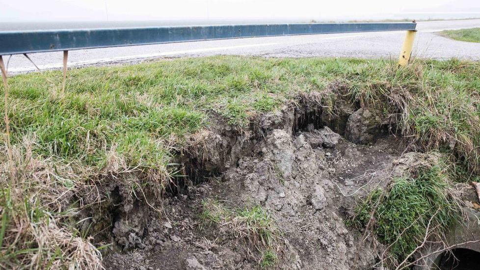 Nutrie, vera emergenza Serve uno sforzo comune