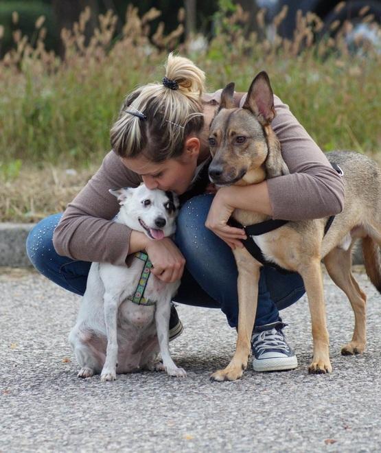Concordia, Chiara Ganzerli: «Non c’è niente di più bello di dare una nuova vita ai cani» 