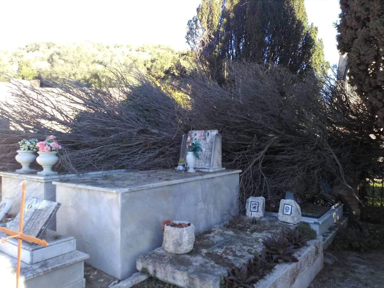 Vento forte: alberi e rami caduti, danni in tutta la provincia