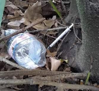 Sirighe usate trovare nel parco di Fabbrco, vicino all'asilo