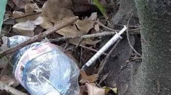 Sirighe usate trovare nel parco di Fabbrco, vicino all'asilo