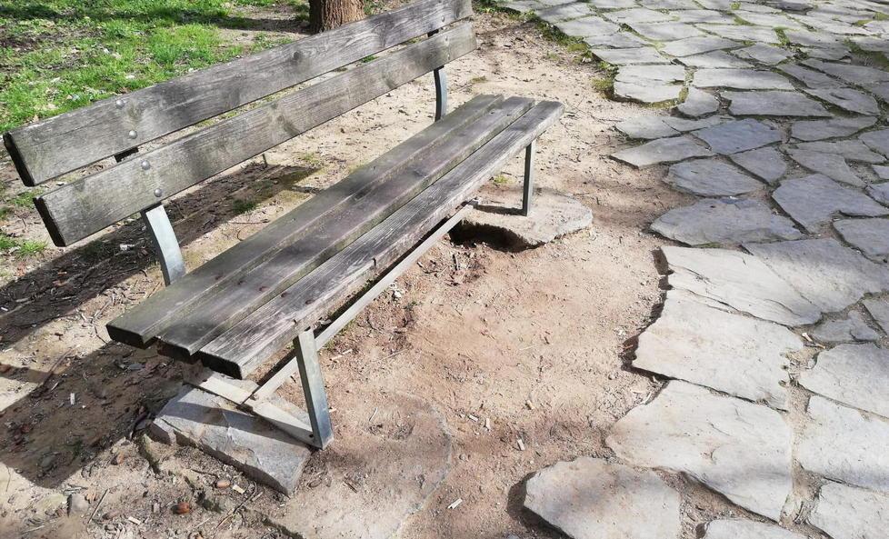 Fontana rotta, rifiuti e selciato disconnesso: il parco è inaccessibile 