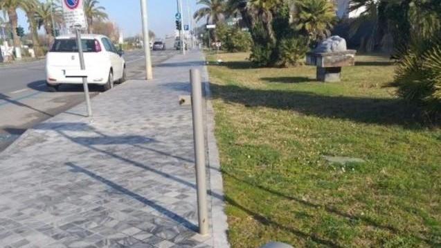 Sporcizia e degrado lungo il viale a mare