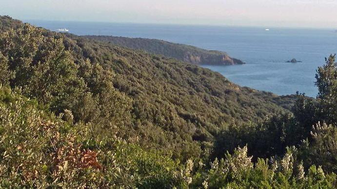 «Il nostro promontorio deve essere valorizzato limitando anche la caccia»