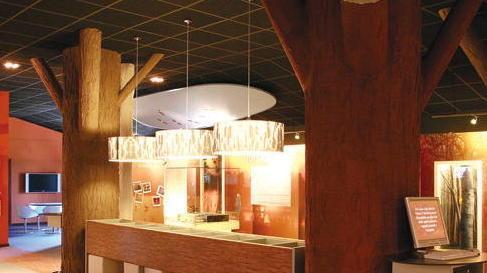 Una sala del Museo delle Valli che fa parte dell'ecomuseo argentano